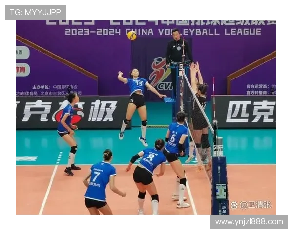 杭州排球队实力分析与赛季表现评估的深度解读